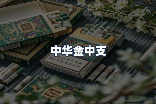 中华金中支